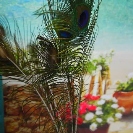 Maravillas Del Mundo 3*