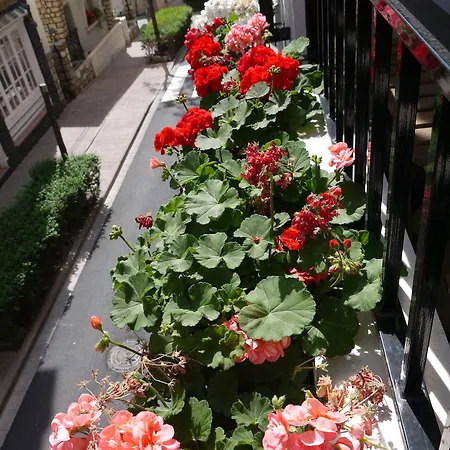 Maravillas Del Mundo