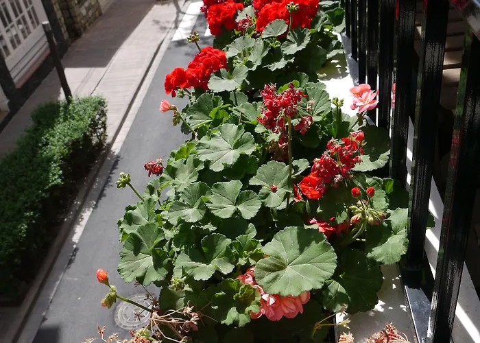 Maravillas Del Mundo