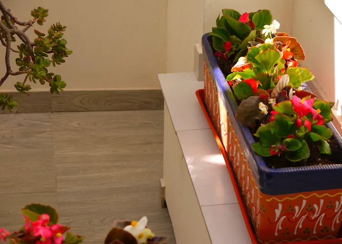 Maravillas Del Mundo