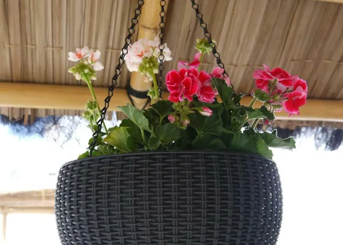 Hotel Maravillas Del Mundo