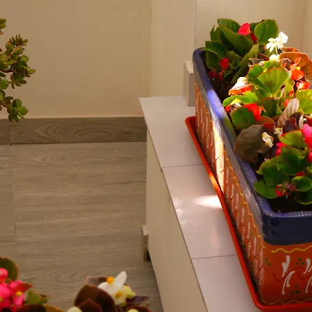 Maravillas Del Mundo