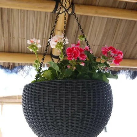 酒店 Maravillas Del Mundo